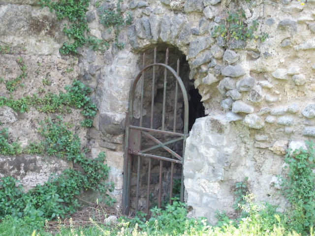 Tower VII