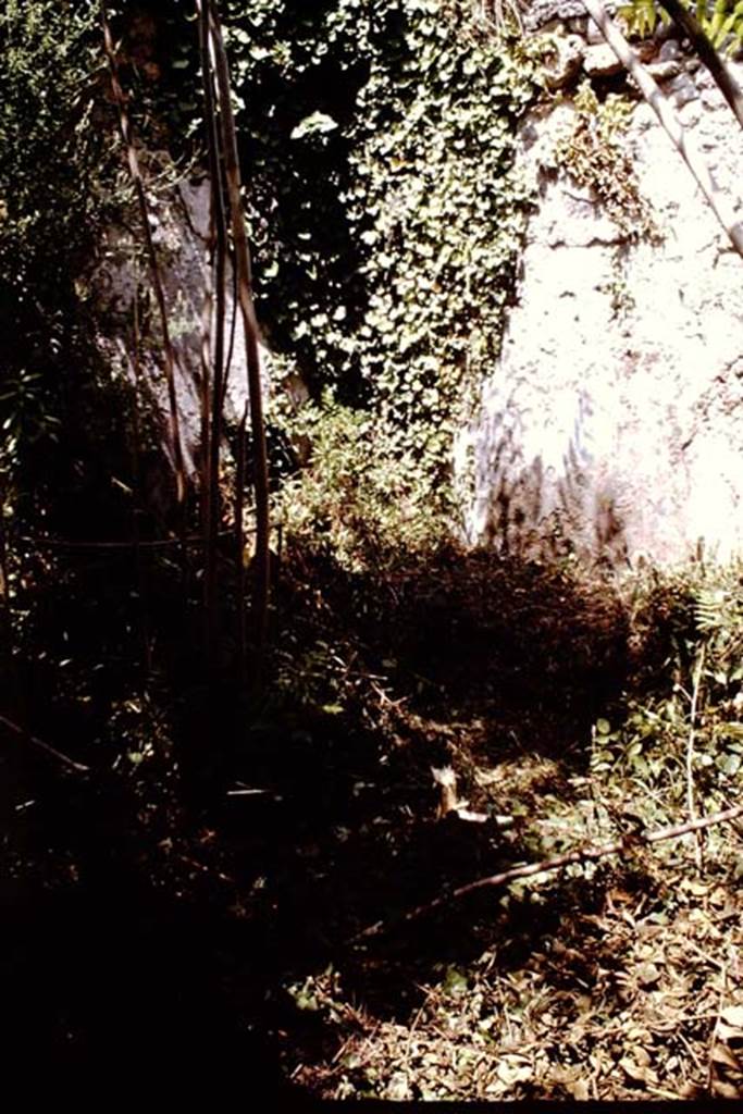 I.2.10 Pompeii. 1964. Looking towards north-east corner of peristyle. Photo by Stanley A. Jashemski.
Source: The Wilhelmina and Stanley A. Jashemski archive in the University of Maryland Library, Special Collections (See collection page) and made available under the Creative Commons Attribution-Non Commercial License v.4. See Licence and use details. J64f1293