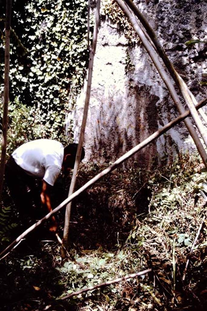 I.2.10 Pompeii. 1964. Looking towards east wall in north-east corner. Photo by Stanley A. Jashemski.
Source: The Wilhelmina and Stanley A. Jashemski archive in the University of Maryland Library, Special Collections (See collection page) and made available under the Creative Commons Attribution-Non Commercial License v.4. See Licence and use details. J64f1291