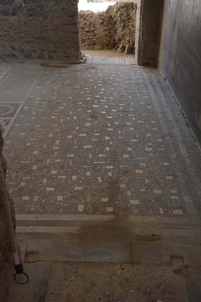 I.6.2 Pompeii. September 2019. Looking south across flooring in oecus/triclinium.
Foto Annette Haug, ERC Grant 681269 DÉCOR.