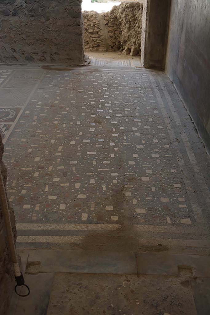 I.6.2 Pompeii. September 2019. Looking south across flooring in oecus/triclinium.
Foto Annette Haug, ERC Grant 681269 DÉCOR.

