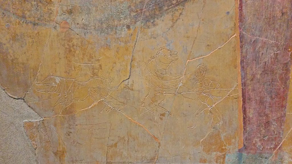 I.6.2 Pompeii, December 2019. South wall of oecus, with detail of graffiti.
On display in exhibition “Pompei e Santorini” in Rome, 2019. Photo courtesy of Giuseppe Ciaramella.