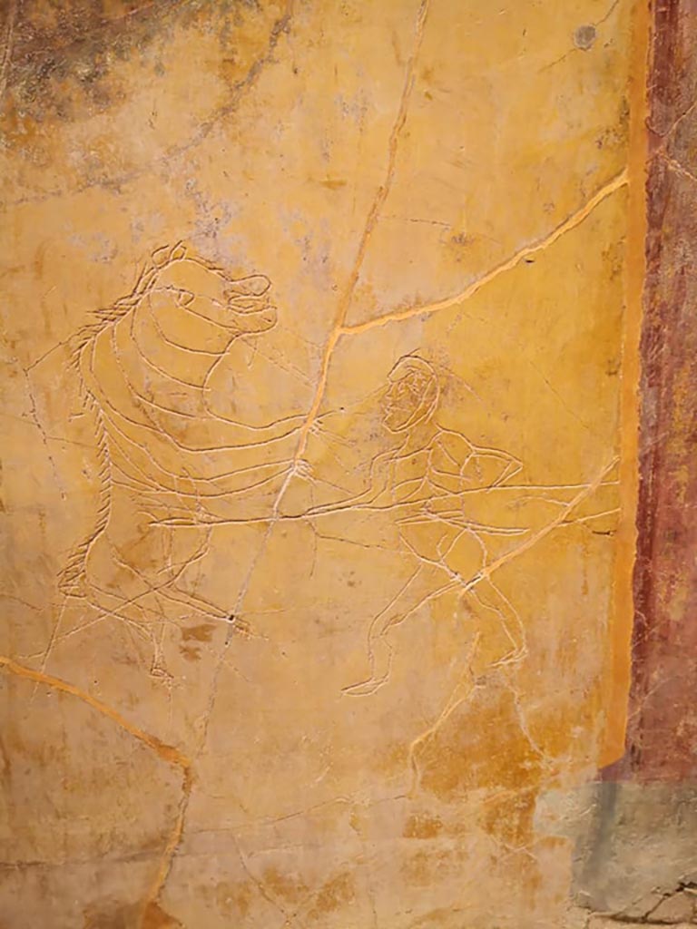I.6.2 Pompeii, December 2019. South wall of oecus, with detail of graffiti.
On display in exhibition “Pompei e Santorini” in Rome, 2019. Photo courtesy of Giuseppe Ciaramella.