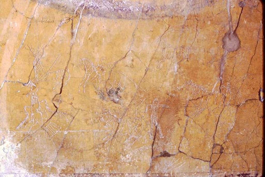 I.6.2 Pompeii, 1968. Graffiti on south wall of oecus. Photo by Stanley A. Jashemski.
Source: The Wilhelmina and Stanley A. Jashemski archive in the University of Maryland Library, Special Collections (See collection page) and made available under the Creative Commons Attribution-Non Commercial License v.4. See Licence and use details.
J68f0536