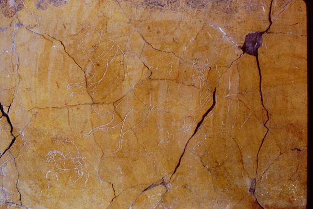 I.6.2 Pompeii, 1968. Graffiti from south wall of oecus. Photo by Stanley A. Jashemski.
Source: The Wilhelmina and Stanley A. Jashemski archive in the University of Maryland Library, Special Collections (See collection page) and made available under the Creative Commons Attribution-Non Commercial License v.4. See Licence and use details.
J68f0538