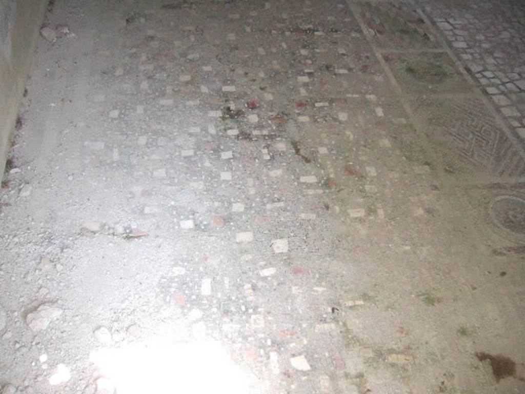I.6.2 Pompeii. May 2006. Mosaic floor in oecus/triclinium in south-east corner of the east wing.