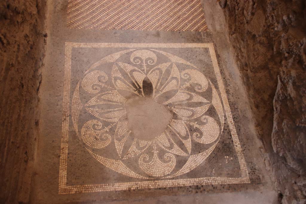 I.6.2 Pompeii. September 2019. Detail
Looking east across mosaic flooring in doorway of anteroom, apodyterium or changing room.
Photo courtesy of Klaus Heese.

