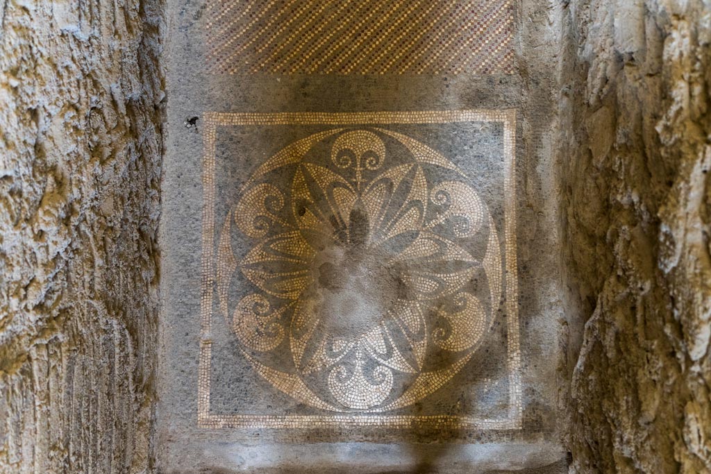 I.6.2 Pompeii. October 2023.
Looking east across mosaic flooring in doorway of anteroom, apodyterium or changing room. Photo courtesy of Johannes Eber.
