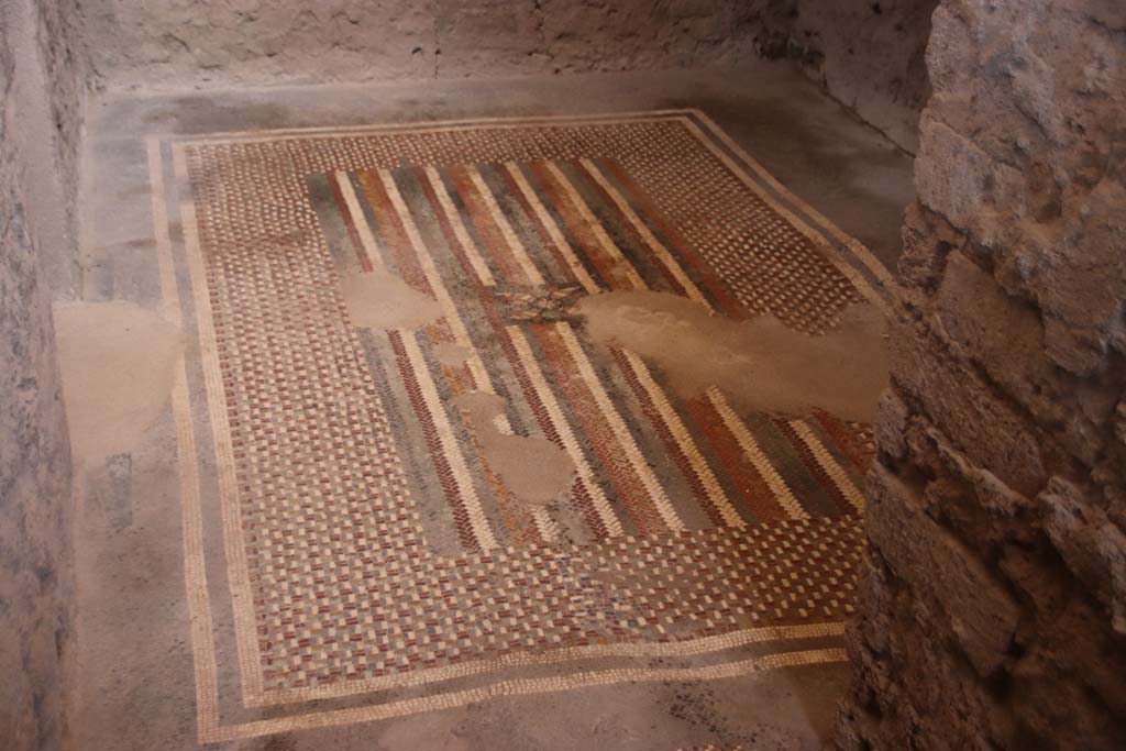 I.6.2 Pompeii. September 2019. Floor carpet mosaic in anteroom, apodyterium or changing room. Photo courtesy of Klaus Heese.