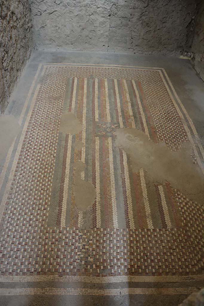 I.6.2 Pompeii. September 2019. Floor carpet mosaic in anteroom, apodyterium or changing room.
Foto Annette Haug, ERC Grant 681269 DCOR.

