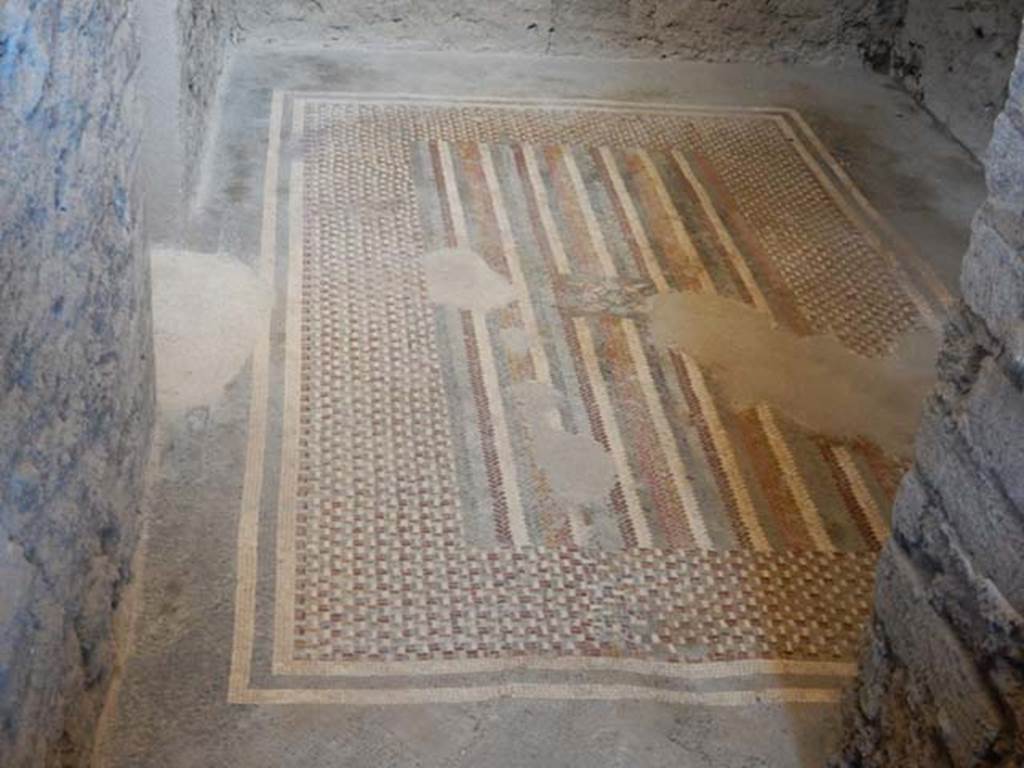 I.6.2 Pompeii. May 2016. Detail of floor mosaic in anteroom, apodyterium or changing room. Photo courtesy of Buzz Ferebee.
