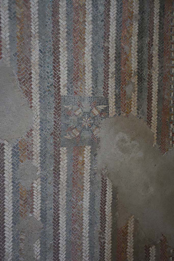 I.6.2 Pompeii. September 2019. 
Detail from floor mosaic in anteroom, apodyterium or changing room.
Foto Annette Haug, ERC Grant 681269 DCOR.
