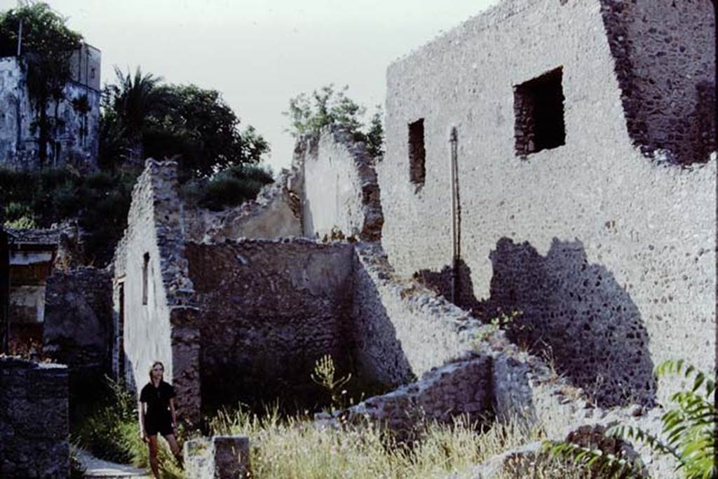 I.6.2 Pompeii. 1971. Looking north along passageway. Photo by Stanley A. Jashemski.
Source: The Wilhelmina and Stanley A. Jashemski archive in the University of Maryland Library, Special Collections (See collection page) and made available under the Creative Commons Attribution-Non Commercial License v.4. See Licence and use details.
J71f0147