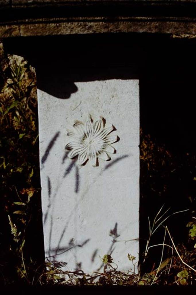 I.6.2 Pompeii. 1971. Detail of decoration on pedestal of marble table. Photo by Stanley A. Jashemski.
Source: The Wilhelmina and Stanley A. Jashemski archive in the University of Maryland Library, Special Collections (See collection page) and made available under the Creative Commons Attribution-Non Commercial License v.4. See Licence and use details.
J71f0145