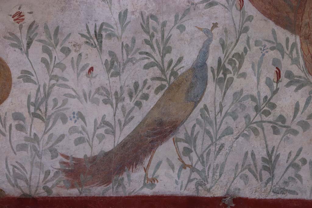 I.6.2 Pompeii. September 2019. Detail of painted peacock. Photo courtesy of Klaus Heese.