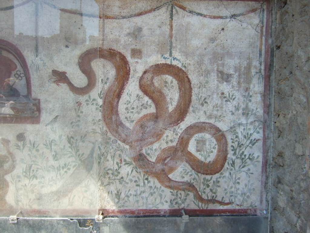 I.6.2 Pompeii. May 2006. Large serpent, on the painted lararium.