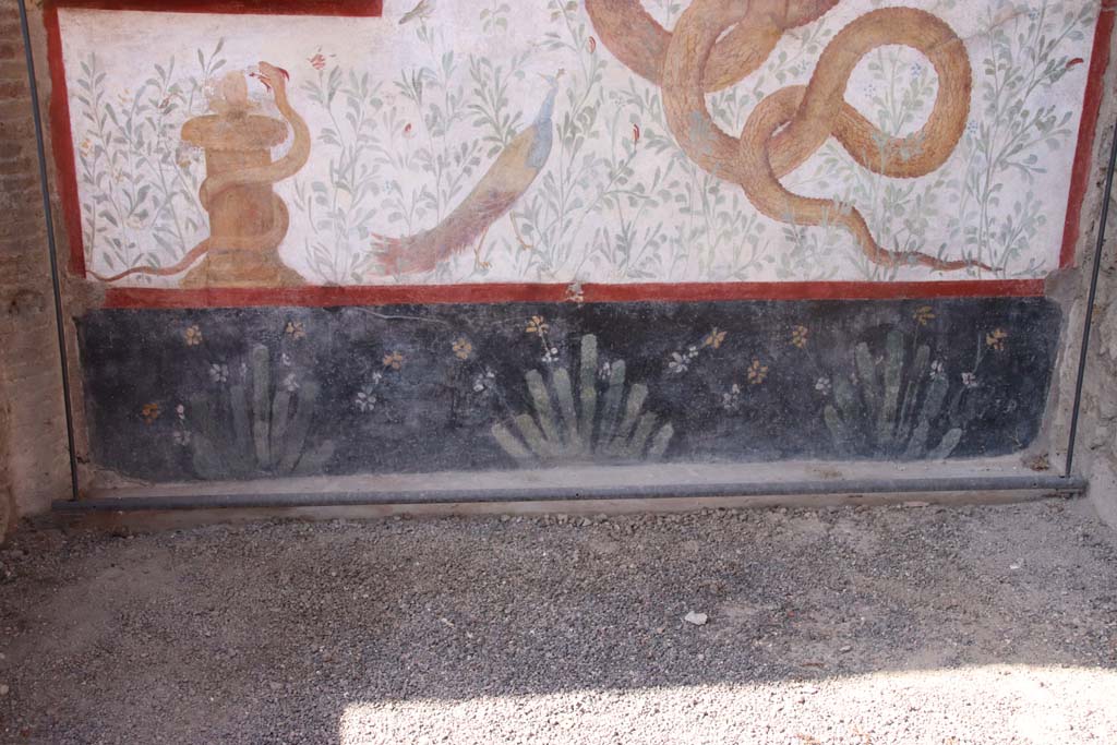 I.6.2 Pompeii. September 2019. Detail of painted plants on “zoccolo” of lower west wall, beneath lararium.
Photo courtesy of Klaus Heese.