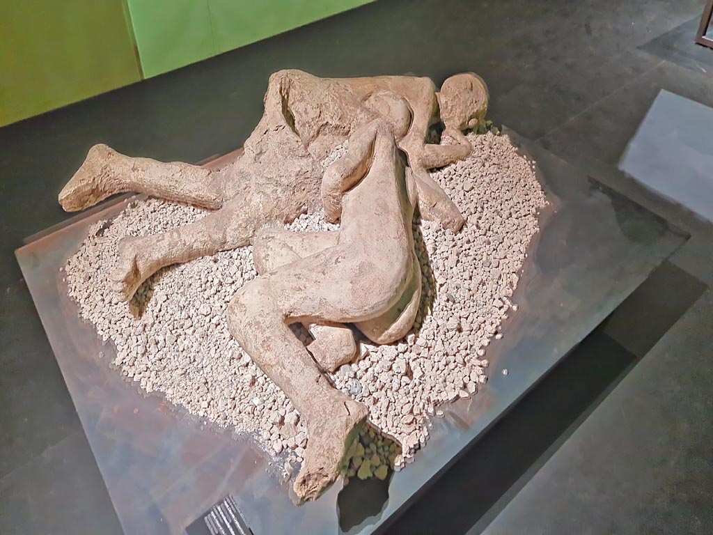 I.6.2 Pompeii. March 2024. Resin plaster cast of two victims found above the garden area. Photo courtesy of Giuseppe Ciaramella.
On display in exhibition in Palaestra entitled – “L’altra Pompei, vite comuni all’ombra del Vesuvio”.
