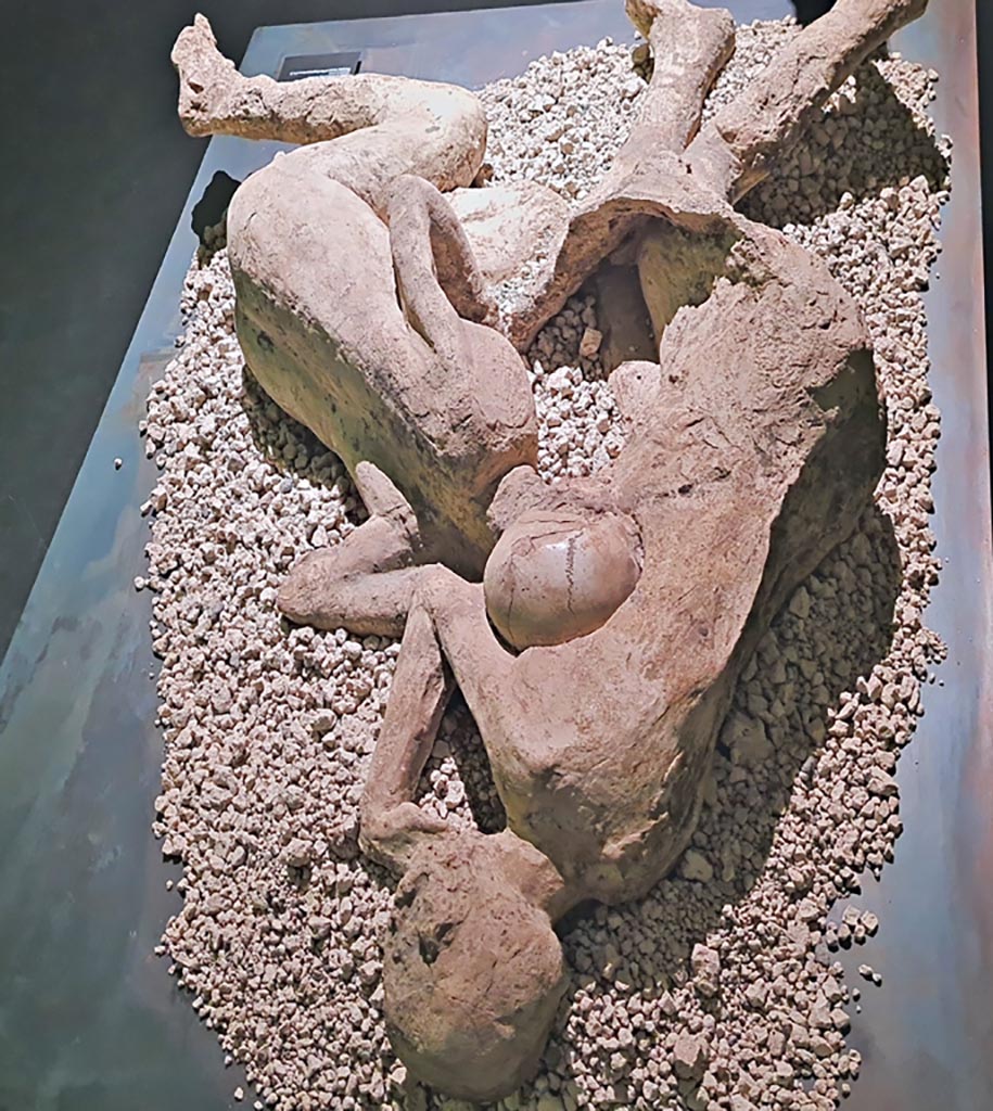 I.6.2 Pompeii. March 2024.
Resin plaster cast of two embracing victims found above the garden area. Photo courtesy of Giuseppe Ciaramella.
On display in exhibition in Palaestra entitled – “L’altra Pompei, vite comuni all’ombra del Vesuvio”.
