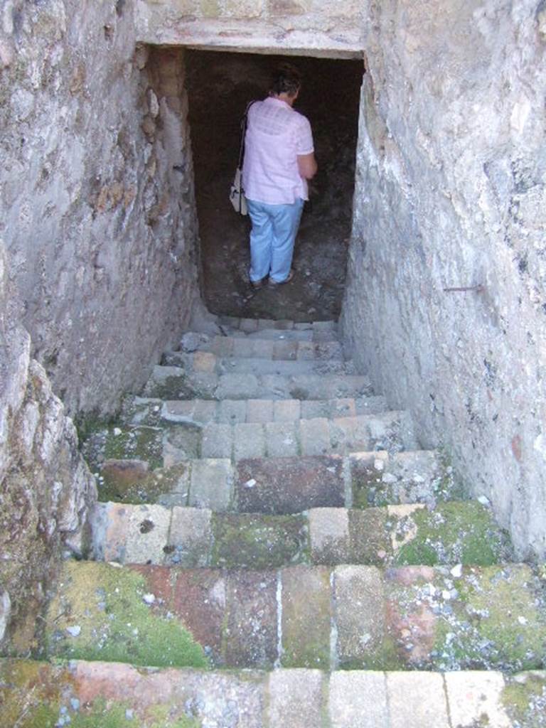 I.6.2 Pompeii. May 2006. Stairs to lower floor, looking south. 