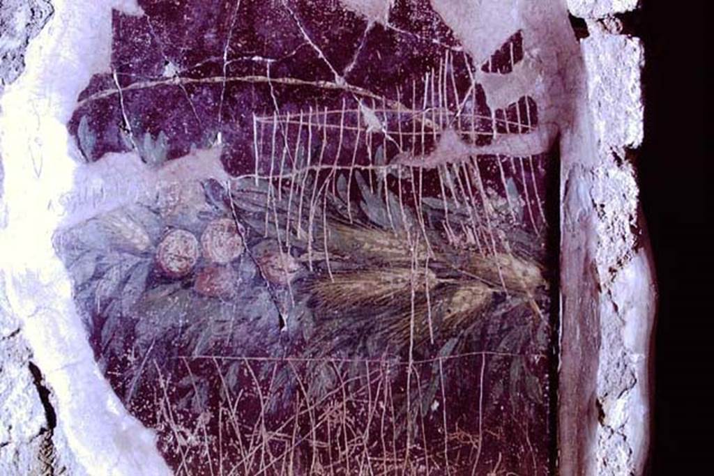 I.6.2 Pompeii, 1968. Painted wall decoration and graffiti. Photo by Stanley A. Jashemski.
Source: The Wilhelmina and Stanley A. Jashemski archive in the University of Maryland Library, Special Collections (See collection page) and made available under the Creative Commons Attribution-Non Commercial License v.4. See Licence and use details.
J68f0543