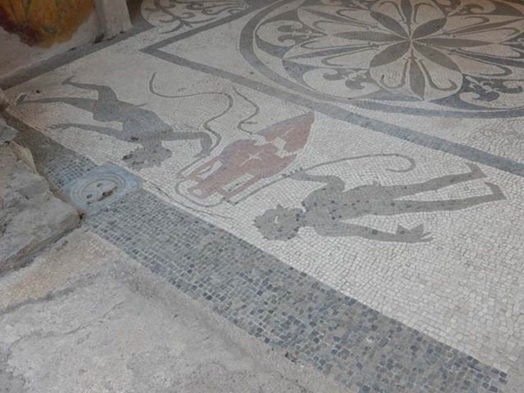 I.6.2 Pompeii. May 2017. Detail of black and white mosaic floor, and with the use of some coloured tesserae, in the caldarium near rear entrance at I.6.16.  Photo courtesy of Buzz Ferebee.

