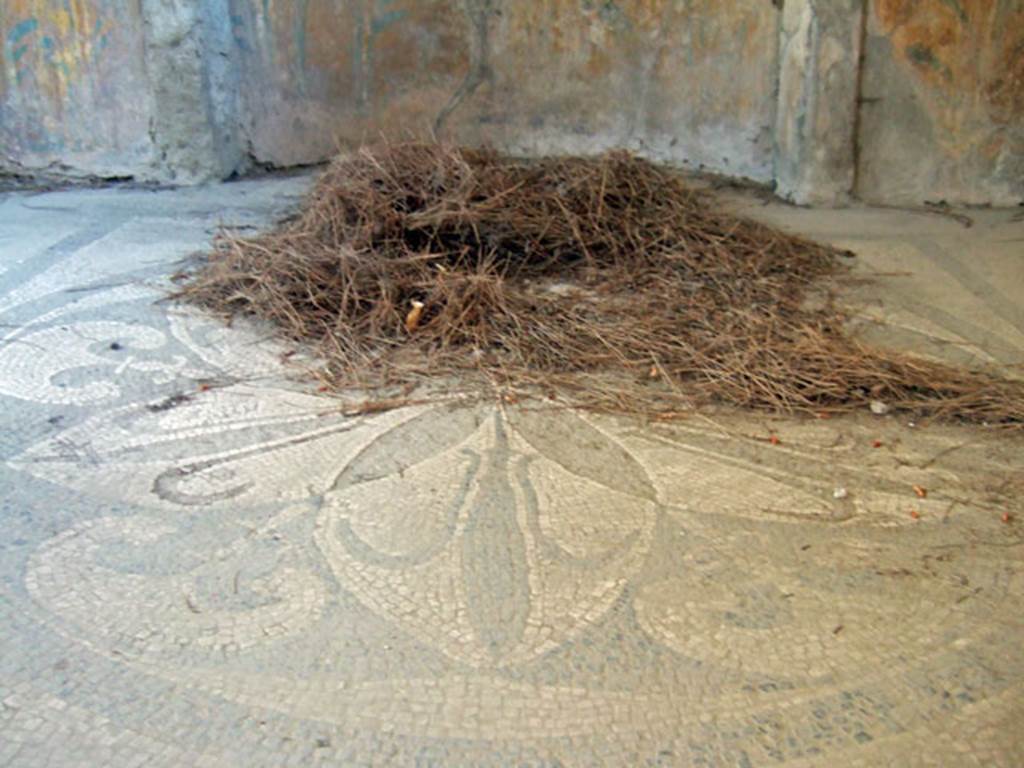 I.6.2 Pompeii. May 2006. Centre circular Hellenistic rosette of caldarium mosaic floor.
