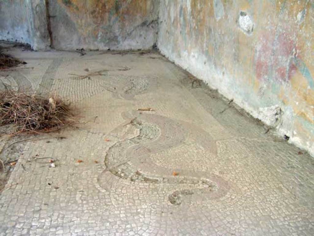 I.6.2 Pompeii. May 2006. Dolphins on side of mosaic floor of caldarium.