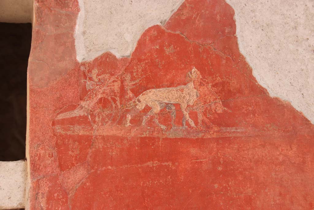 I.6.7 Pompeii. September 2019.
Detail of fresco in north-east corner of atrium, on south side of doorway. Photo courtesy of Klaus Heese.
Kuivalainen describes –
A composition of a chariot drawn by two panthers on a red background.
The two-wheeled chariot displays Bacchic attributes such as scyphus and cantharus, and a child figure leading the panthers beside the chariot.
Kuivalainen comments –
The painting is so damaged that the explanation cannot be explicit, with Bacchus however being a fair possibility.
See Kuivalainen, I., 2021. The Portrayal of Pompeian Bacchus. Commentationes Humanarum Litterarum 140. Helsinki: Finnish Society of Sciences and Letters, (G20, p.201).