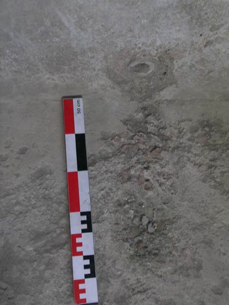 I.6.7 Pompeii. June 2006. Detail from south wall and floor of middle vat. Photo courtesy of Nicolas Monteix.