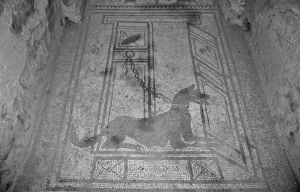 I.7.1 Pompeii. October 2001. Entrance mosaic of guard dog. Photo courtesy of Peter Woods.