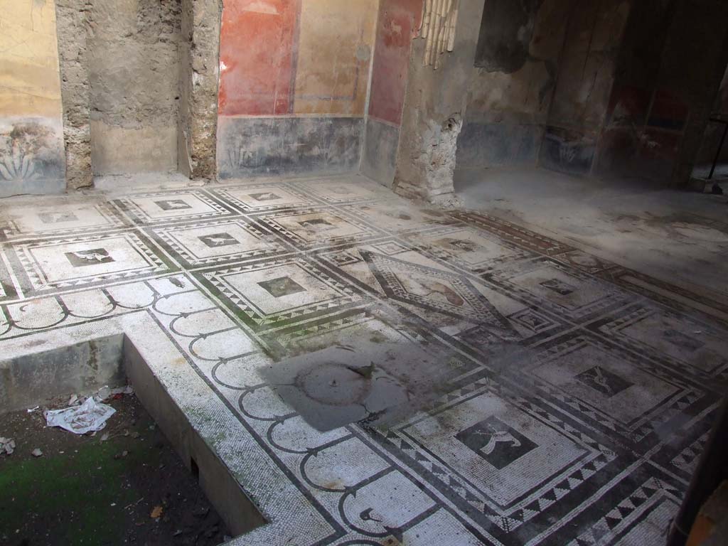 I.7.1 Pompeii. December 2006. Mosaic floor in atrium, east side at southern end.
At the south end of the east wall of the atrium, were two panels, one painted red, the other painted yellow.
In the middle of the red panel was a painted vignette of a cuttlefish, in the middle of the yellow panel was a painted bird with cherries, see below.
In the black zoccolo were painted plants, in the red frieze above the panels were painted plates and fruit.