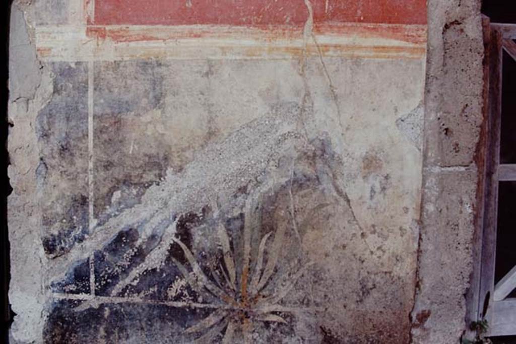 I.7.1 Pompeii, 1968.
Black zoccolo with painted plant from north portico, below red panel with landscape. Photo by Stanley A. Jashemski.
Source: The Wilhelmina and Stanley A. Jashemski archive in the University of Maryland Library, Special Collections (See collection page) and made available under the Creative Commons Attribution-Non-Commercial License v.4. See Licence and use details.
J68f0443