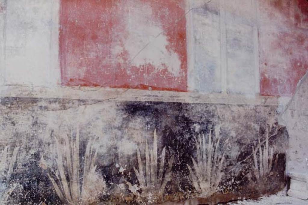 I.7.1 Pompeii, 1968. West wall of west portico, with painted plants on black zoccolo. Photo by Stanley A. Jashemski.
Source: The Wilhelmina and Stanley A. Jashemski archive in the University of Maryland Library, Special Collections (See collection page) and made available under the Creative Commons Attribution-Non Commercial License v.4. See Licence and use details.
J68f0447