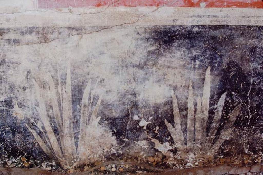 I.7.1 Pompeii, 1968. Detail of painted plants on west wall of portico. Photo by Stanley A. Jashemski.
Source: The Wilhelmina and Stanley A. Jashemski archive in the University of Maryland Library, Special Collections (See collection page) and made available under the Creative Commons Attribution-Non Commercial License v.4. See Licence and use details.
J68f0445