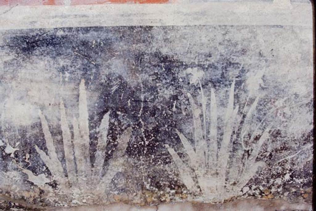 I.7.1 Pompeii, 1968. Detail of painted plants on west wall of portico. Photo by Stanley A. Jashemski.
Source: The Wilhelmina and Stanley A. Jashemski archive in the University of Maryland Library, Special Collections (See collection page) and made available under the Creative Commons Attribution-Non Commercial License v.4. See Licence and use details.
J68f0446