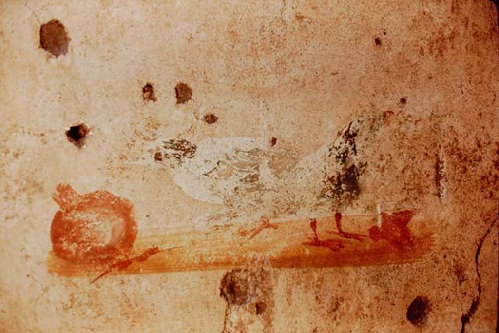 I.7.1 Pompeii, 1968. Cubiculum on east side of entrance corridor, painting of two birds and a pomegranate, from the south wall.
Photo by Stanley A. Jashemski.
Source: The Wilhelmina and Stanley A. Jashemski archive in the University of Maryland Library, Special Collections (See collection page) and made available under the Creative Commons Attribution-Non Commercial License v.4. See Licence and use details.
J68f0451