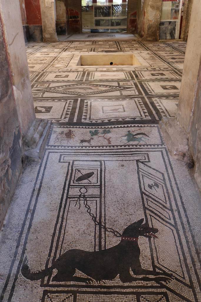 I.7.1 Pompeii. December 2018.
Looking south towards atrium from entrance doorway across mosaic with guard-dog.
Photo courtesy of Aude Durand