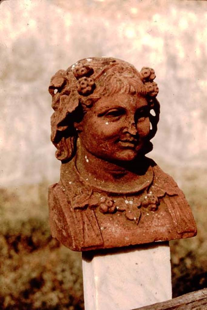 I.7.11 Pompeii. 1964. Marble herm made of red marble on top of post supporting trellis fence, (height 0.19m). Photo by Stanley A. Jashemski.
Source: The Wilhelmina and Stanley A. Jashemski archive in the University of Maryland Library, Special Collections (See collection page) and made available under the Creative Commons Attribution-Non-Commercial License v.4. See Licence and use details.
J64f0920
See Maiuri, A., 1928. Nuovi Scavi nella Via dell’Abbondanza. Milano: Hoepli. (p.74, fig.40).