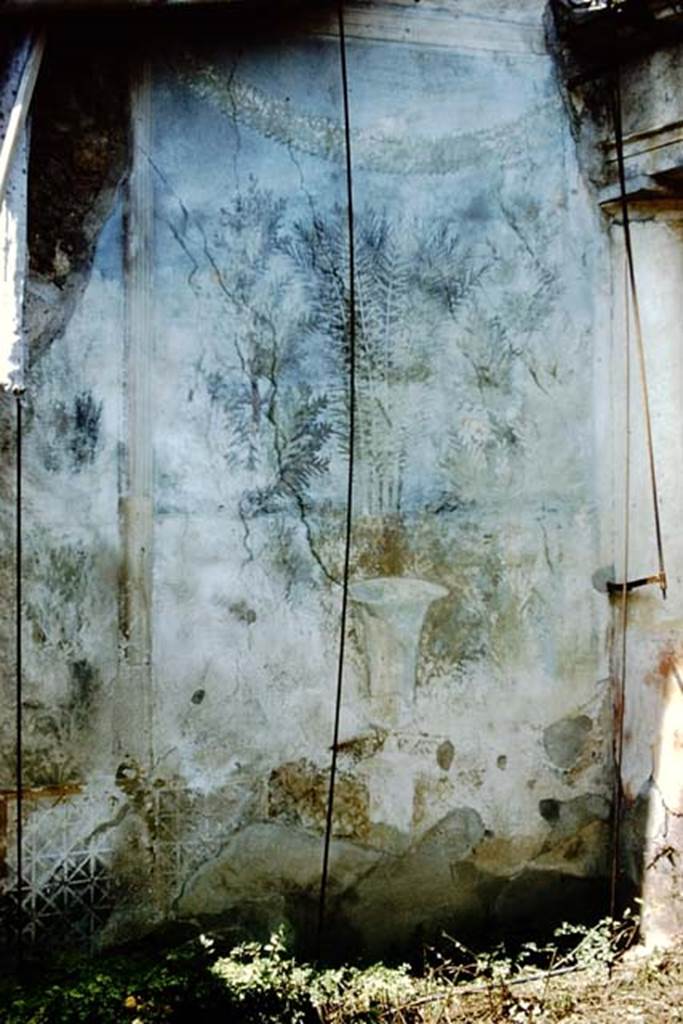 I.7.19 Pompeii. 1961. Garden painting from north end of west wall. Photo by Stanley A. Jashemski.
Source: The Wilhelmina and Stanley A. Jashemski archive in the University of Maryland Library, Special Collections (See collection page) and made available under the Creative Commons Attribution-Non Commercial License v.4. See Licence and use details.
J61f0802