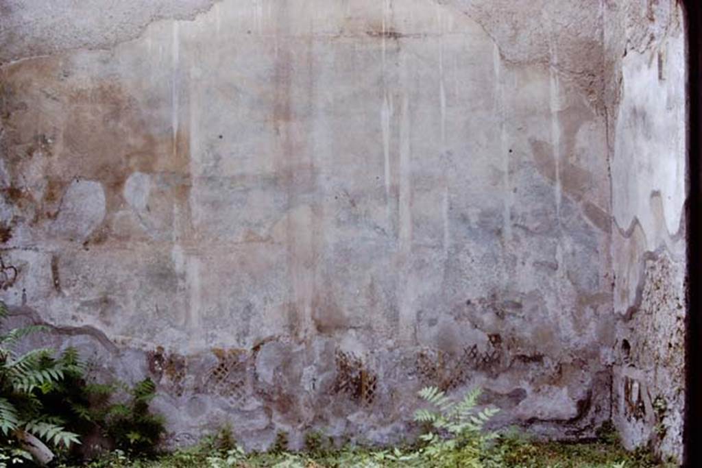 I.7.19 Pompeii. 1972. South wall with remains of garden painting. Photo by Stanley A. Jashemski.
Source: The Wilhelmina and Stanley A. Jashemski archive in the University of Maryland Library, Special Collections (See collection page) and made available under the Creative Commons Attribution-Non Commercial License v.4. See Licence and use details. J72f0102