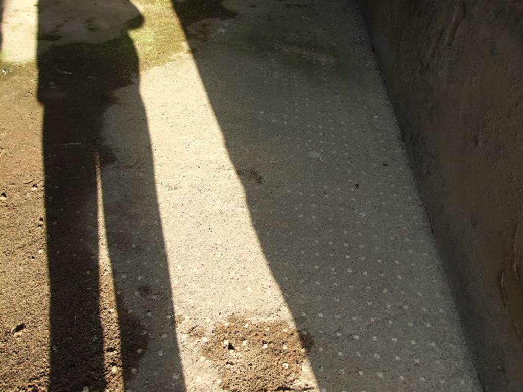 I.7.19 Pompeii. December 2006. Decorative floor in triclinium in north-east corner of atrium.
The floor was cocciopesto with regularly spaced white “dots” of tesserae.