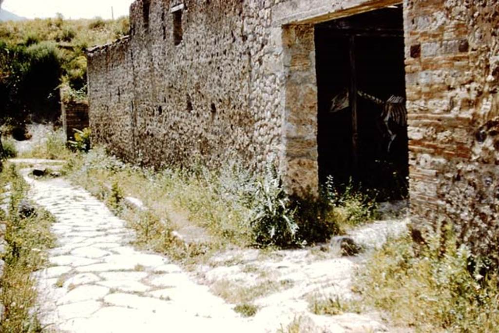 I.8.12 Pompeii. 1961. Entrance doorway, and roadway looking south towards Via di Castricio. Photo by Stanley A. Jashemski.
Source: The Wilhelmina and Stanley A. Jashemski archive in the University of Maryland Library, Special Collections (See collection page) and made available under the Creative Commons Attribution-Non Commercial License v.4. See Licence and use details.
J61f0341