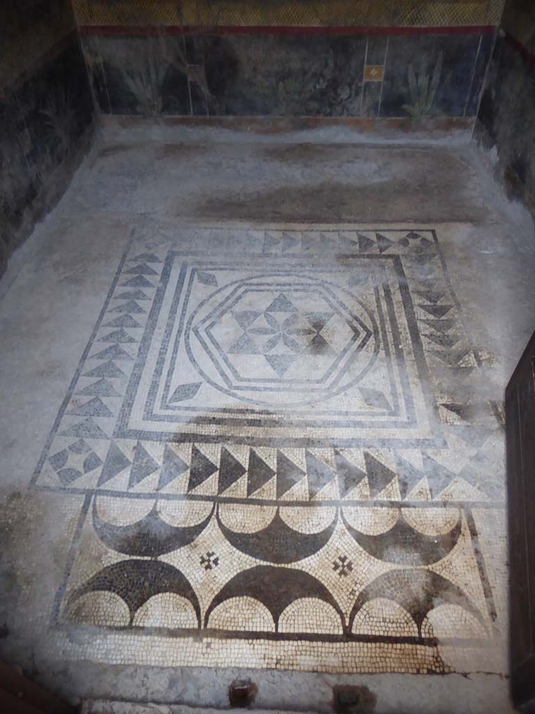 I.9.5 Pompeii. January 2017. Room 5, looking east across floor mosaic.
Foto Annette Haug, ERC Grant 681269 DÉCOR.
