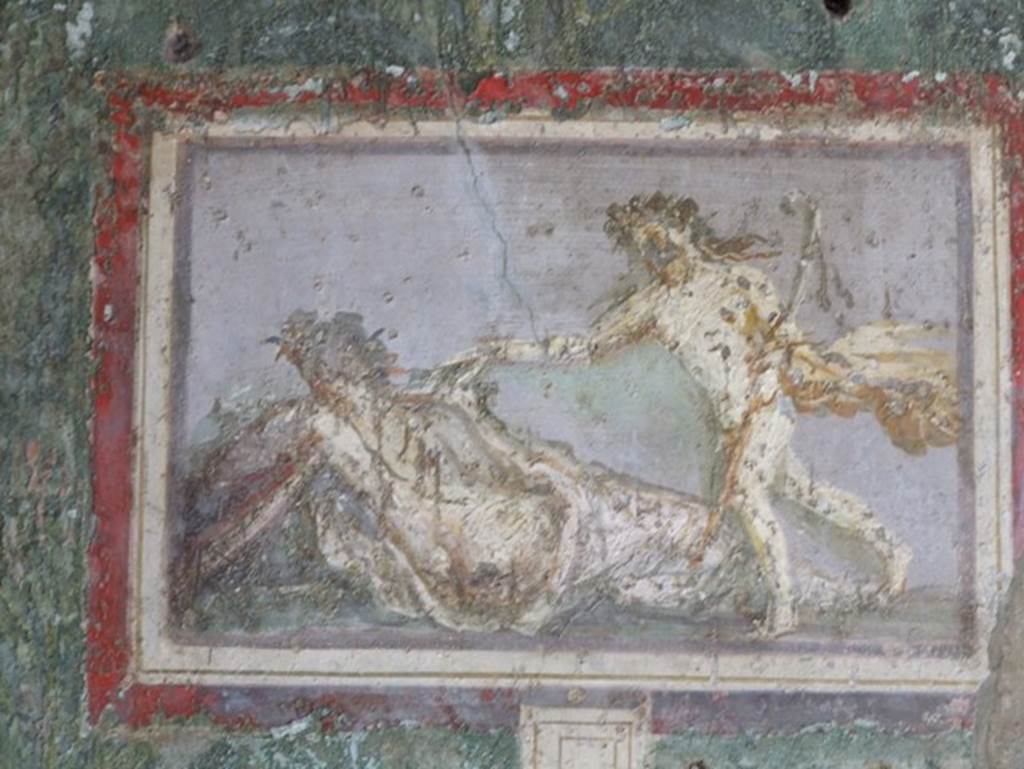 I.9.5 Pompeii. March 2009. Room 5, painting of Ariadne and Dionysus on south wall of cubiculum.
See Bragantini, de Vos, Badoni, 1981. Pitture e Pavimenti di Pompei, Parte 1. Rome: ICCD. (p.96).
Kuivalainen describes –
on the eastern side of the south wall, central zone, in a garden painting, painted marble relief (stylopinakion) –
“A composition of two whitish figures on a bluish-grey background. In the foreground, a sleeping almost naked female figure callipyge with her back to the viewer; she is reclining and supporting herself with her left arm; she wears a whitish cloak, which covers her legs; she has a leafy wreath in her hair. On the right, a male figure steps energetically over the legs of the reclining figure; his curly long and floating hair is dark brown, adorned with a wreath; he carries a yellowish flaring cloak and a long pedum with long ribbons in his left arm; his right arm is outstretched, and he shakes the female figure by her right shoulder.”
Kuivalainen comments –
“The pose of the non-sleeping figure with the energetic step is similar to (E3) and (E4), the difference being in the various states of clothing, from fully robed to almost naked. His hair suits Bacchus well – thus young Bacchus discovering sleeping Ariadne.”
See Kuivalainen, I., 2021. The Portrayal of Pompeian Bacchus. Commentationes Humanarum Litterarum 140. Helsinki: Finnish Society of Sciences and Letters, (p.145, E6).