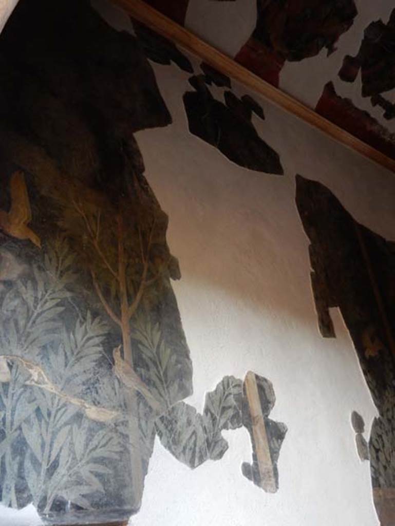 I.9.5 Pompeii. May 2017.
Room 11, remains of garden painting on north wall above doorway to room 10. Photo courtesy of Buzz Ferebee.