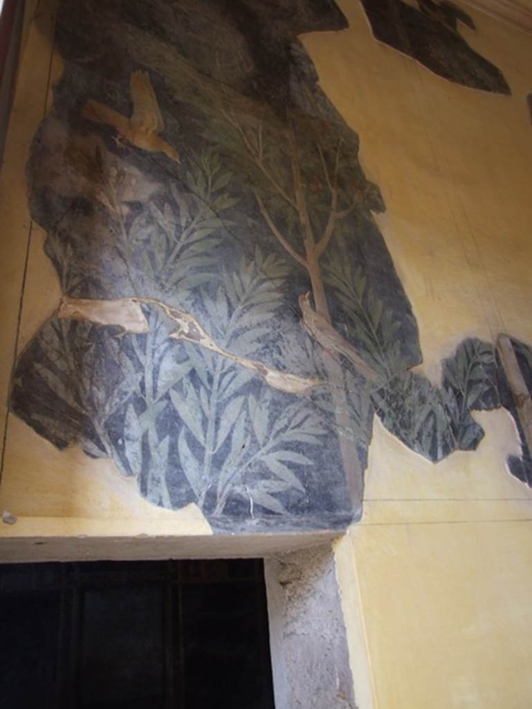 I.9.5 Pompeii. March 2009. Room 11.Cubiculum. North wall. Garden painting of tree and birds.