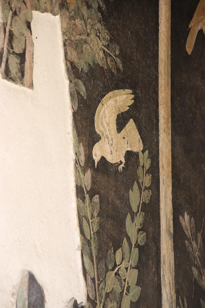 I.9.5 Pompeii. October 2024.
Room 11, detail from upper north wall. Photo courtesy of Klaus Heese