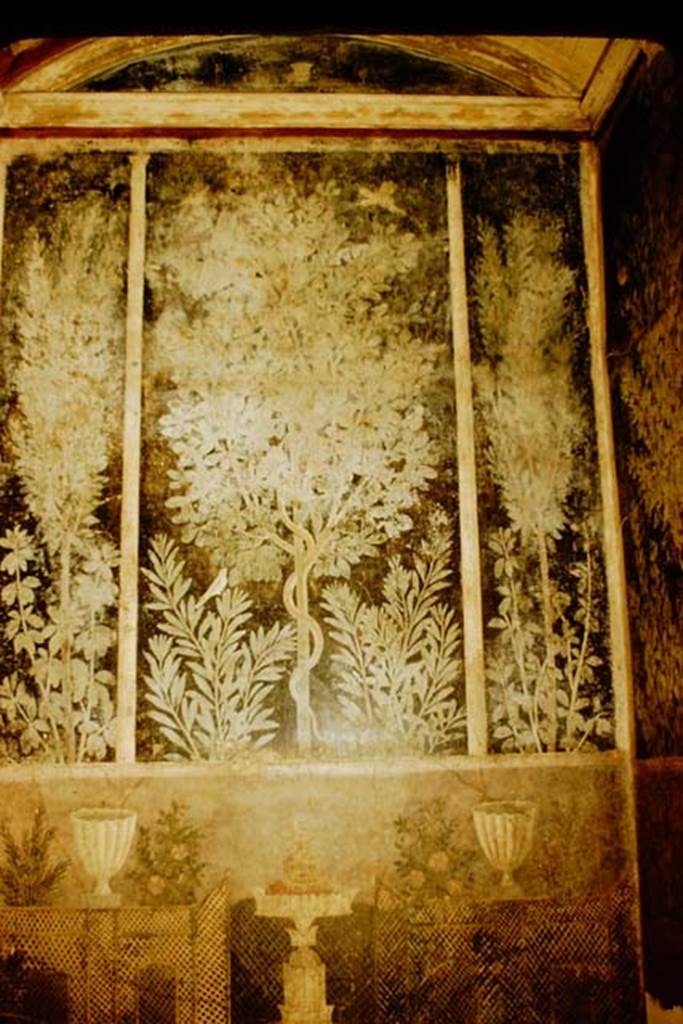 1.9.5 Pompeii. 1957. Room 11, painted east wall. Photo by Stanley A. Jashemski.
Source: The Wilhelmina and Stanley A. Jashemski archive in the University of Maryland Library, Special Collections (See collection page) and made available under the Creative Commons Attribution-Non Commercial License v.4. See Licence and use details.
J57f0197