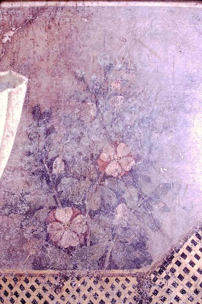1.9.5 Pompeii. 1966.
Room 11, detail of painted flowers from east wall at north end. Photo by Stanley A. Jashemski.
Source: The Wilhelmina and Stanley A. Jashemski archive in the University of Maryland Library, Special Collections (See collection page) and made available under the Creative Commons Attribution-Non-Commercial License v.4. See Licence and use details.
J66f0711